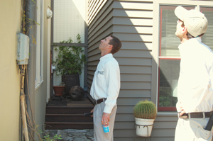Pest specialist inspecting outside of house for bees