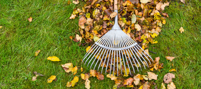 a person raking their yard
