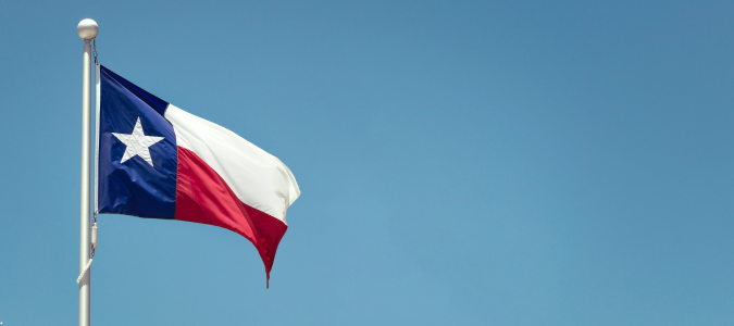 a Texas flag